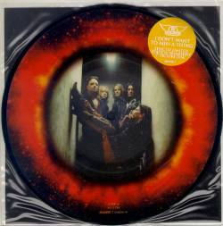 Aerosmith : I Don't Want to Miss a Thing - Taste of India